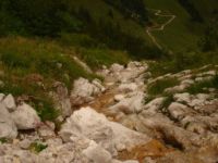 2014-08-02_06FritzPflaum-Steig (395).JPG